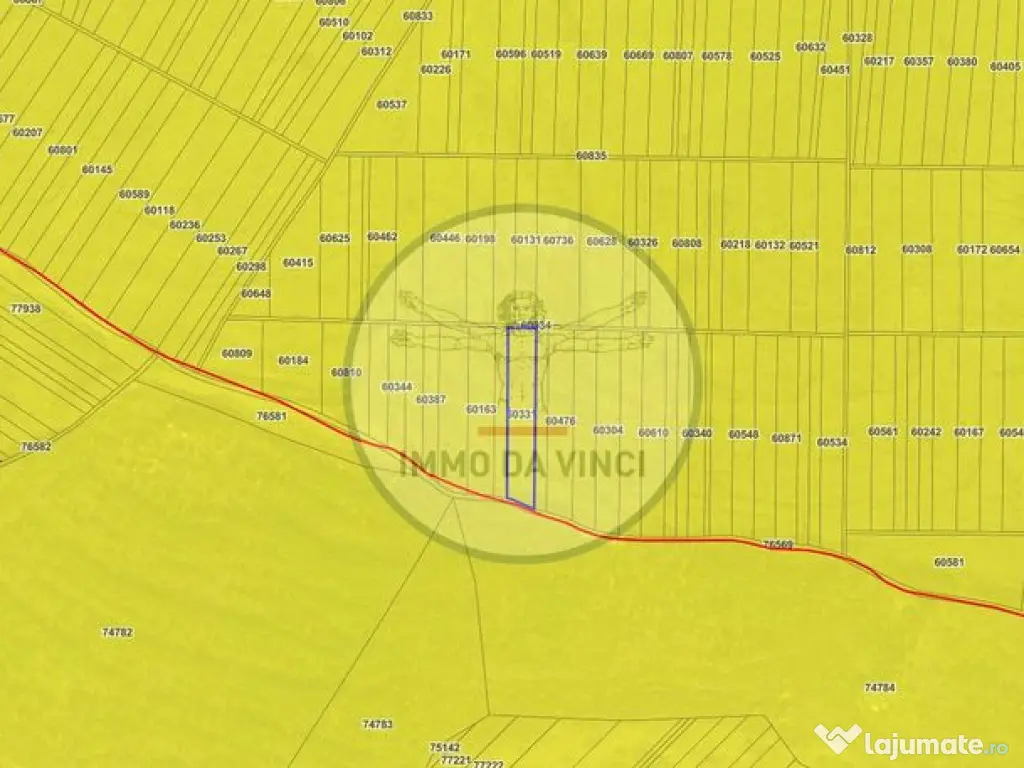 Pachet investitie terenuri Borșa Cluj 37.839 mp | 12.039... 