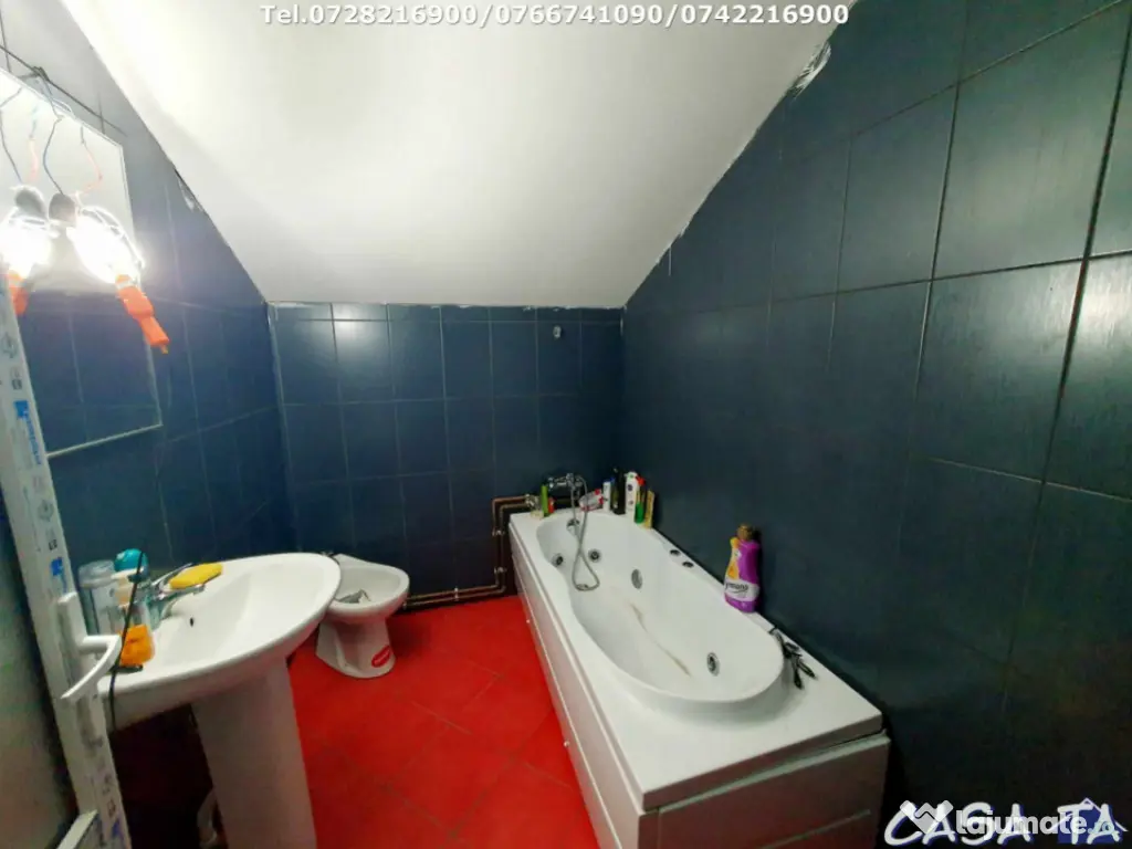 Casa P+M, situata în Balesti-Tamasesti de Jos 