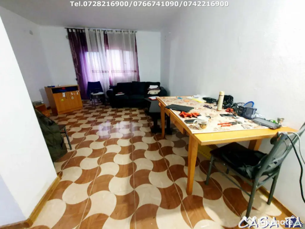 Casa P+M, situata în Balesti-Tamasesti de Jos 