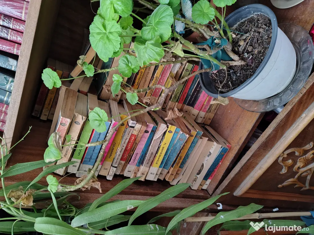 Cărți în stare bună