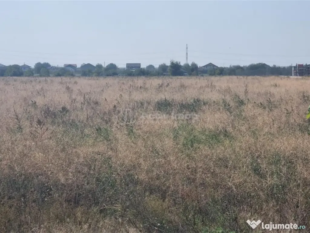 Teren 25000 la 4 benzi deschidere 70m 