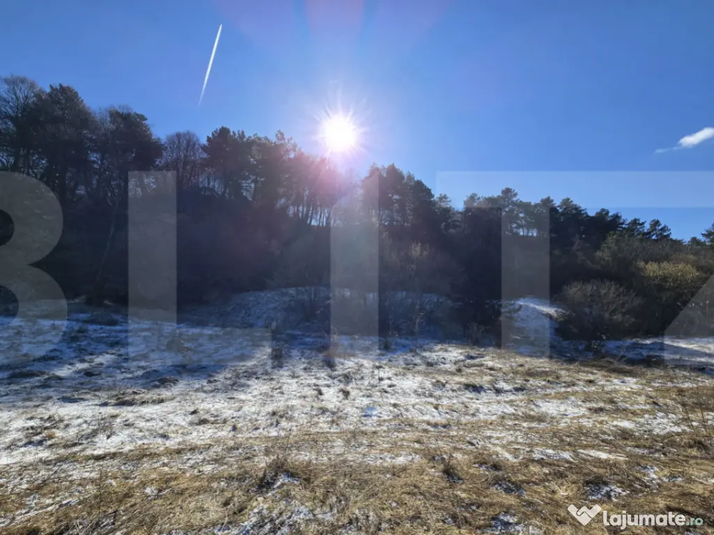 Teren intravilan 4000 mp | Panoramă superbă | Lângă stat 