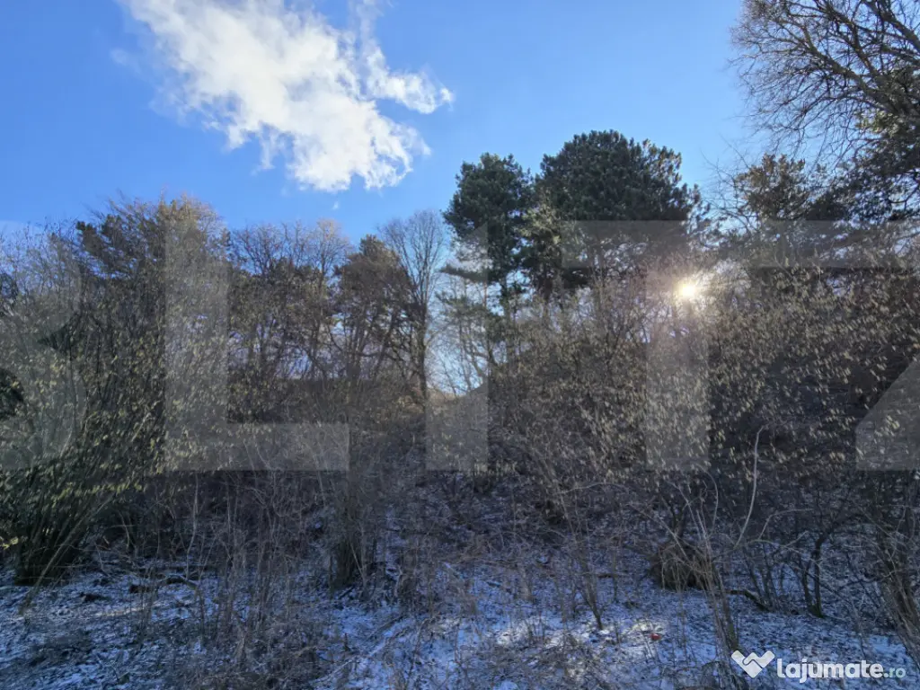 Teren intravilan 4000 mp | Panoramă superbă | Lângă stat 