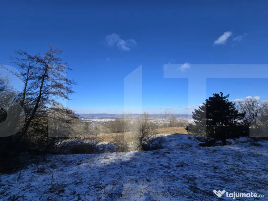 Teren intravilan 4000 mp | Panoramă superbă | Lângă stat 