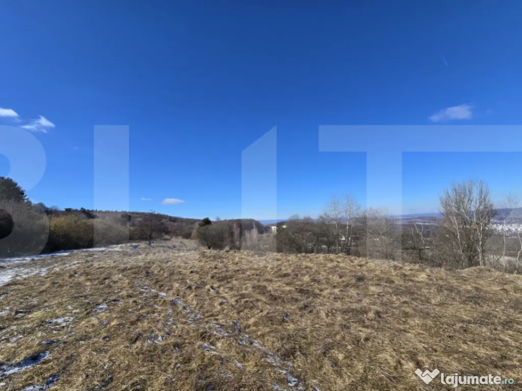 Teren intravilan 4000 mp | Panoramă superbă | Lângă stat 