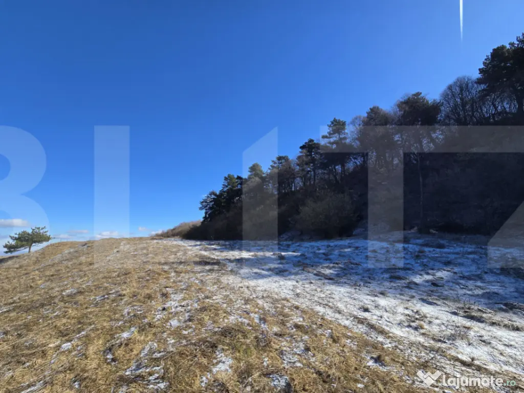 Teren intravilan 4000 mp | Panoramă superbă | Lângă stat 