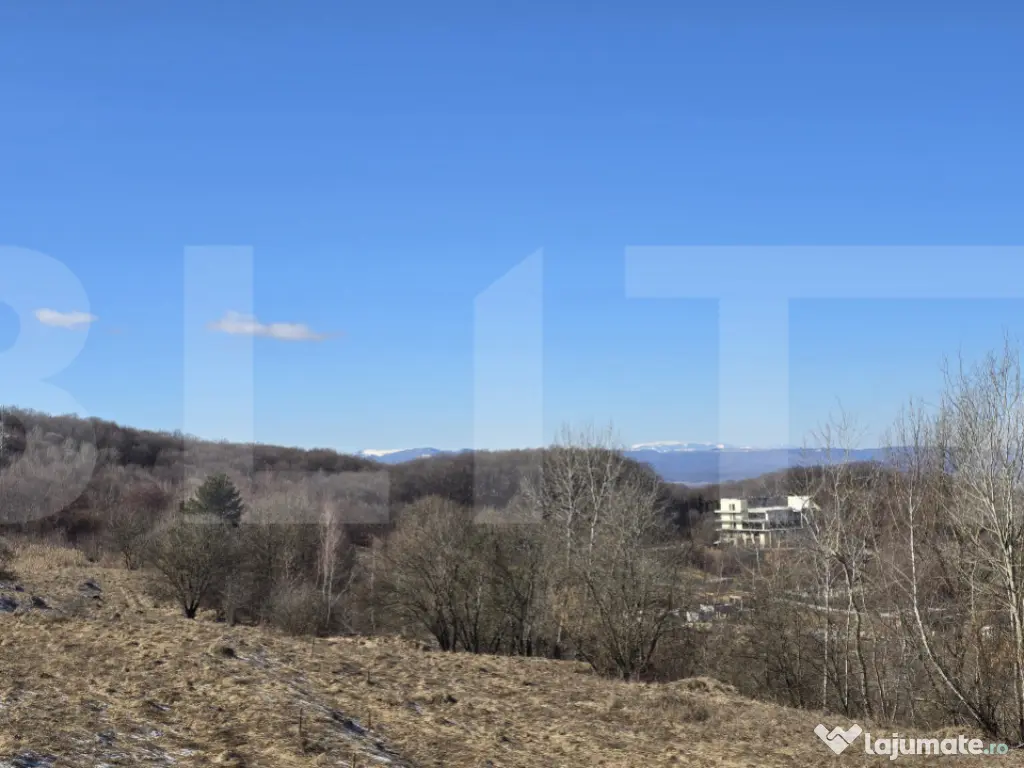 Teren intravilan 4000 mp | Panoramă superbă | Lângă stat 