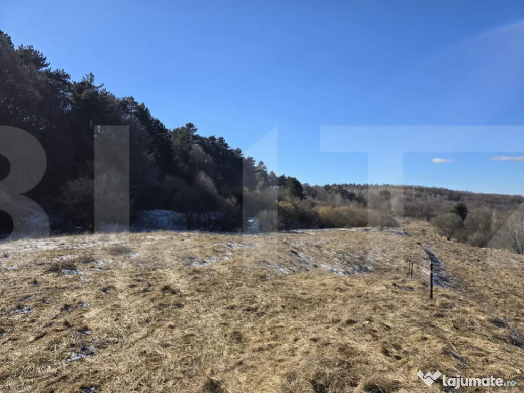 Teren intravilan 4000 mp | Panoramă superbă | Lângă stat 