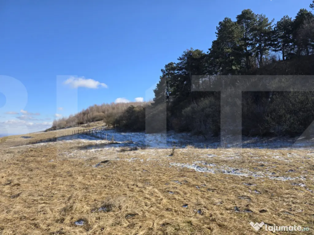 Teren intravilan 4000 mp | Panoramă superbă | Lângă stat 