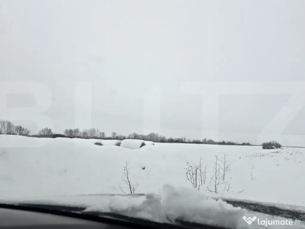 Teren extravilan, 410000 mp, investitie, Giroc! 