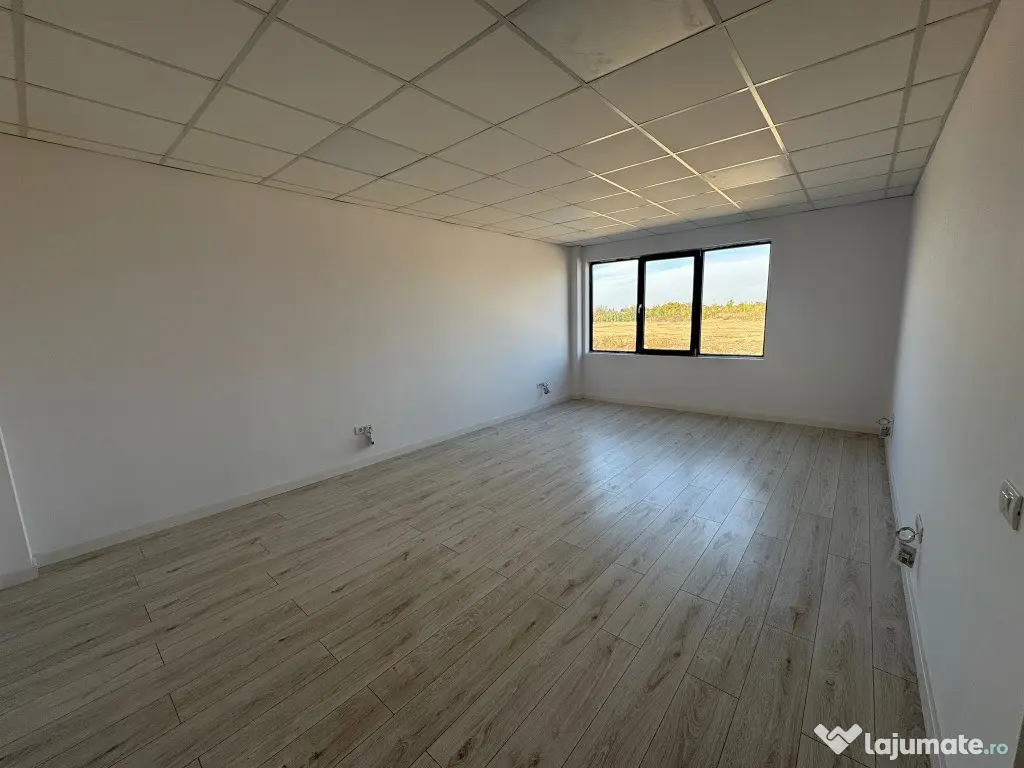 Hala productie/depozitare de inchiriat zona Chitila 