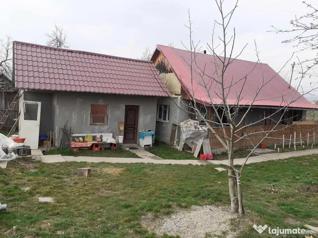 Asuaju de Sus, casa , 40 ari teren 