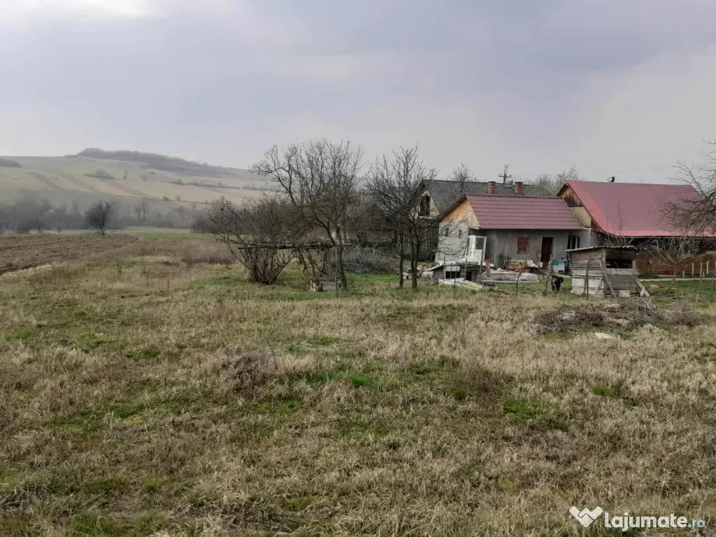 Asuaju de Sus, casa , 40 ari teren 