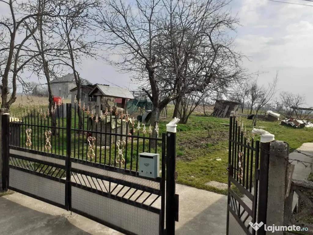 Asuaju de Sus, casa , 40 ari teren 