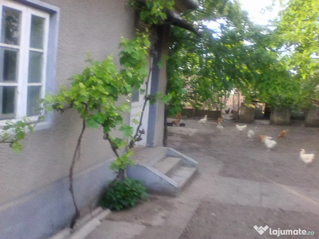 Vand casa 4 camere Macea 