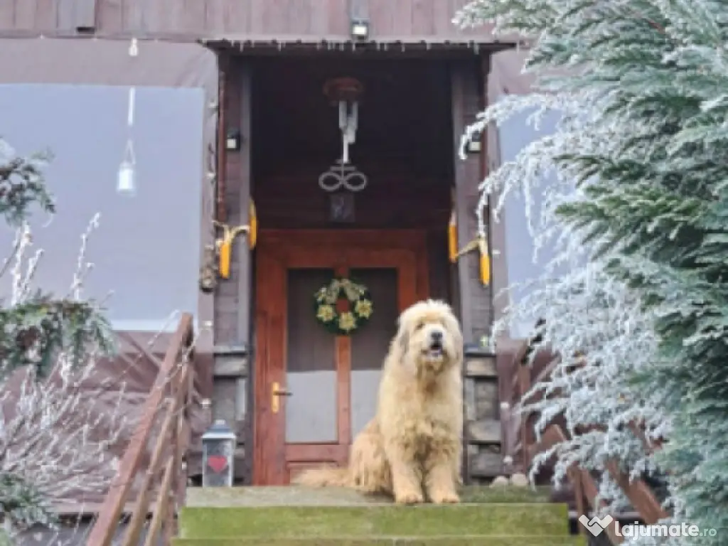 Casa individuala si teren zona Sibiel 