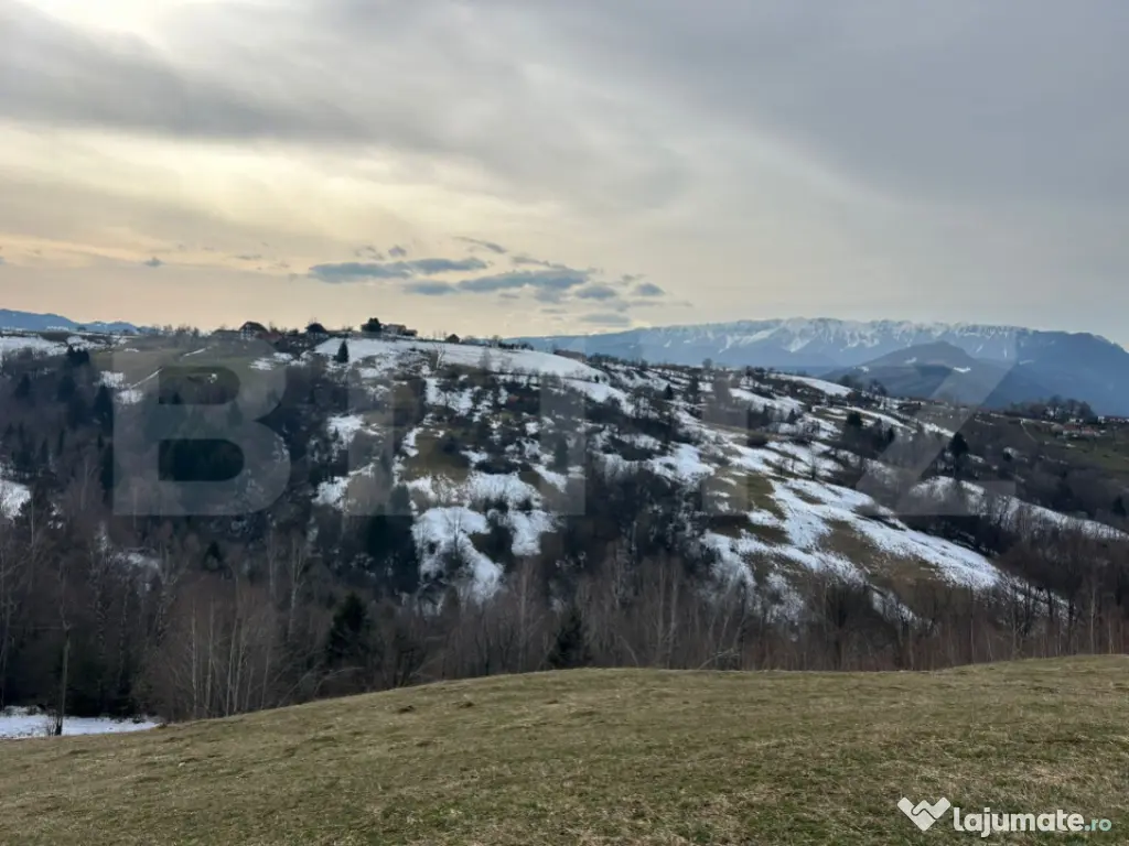 Teren de vanzare Sohodol, Bran 