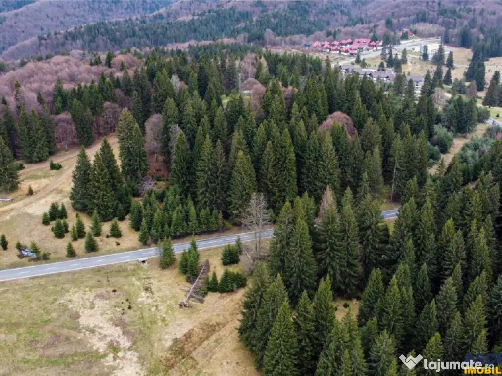 FILM! 1.000 mp,PUZ,regim P 2 M,destinatii turistice rezident 