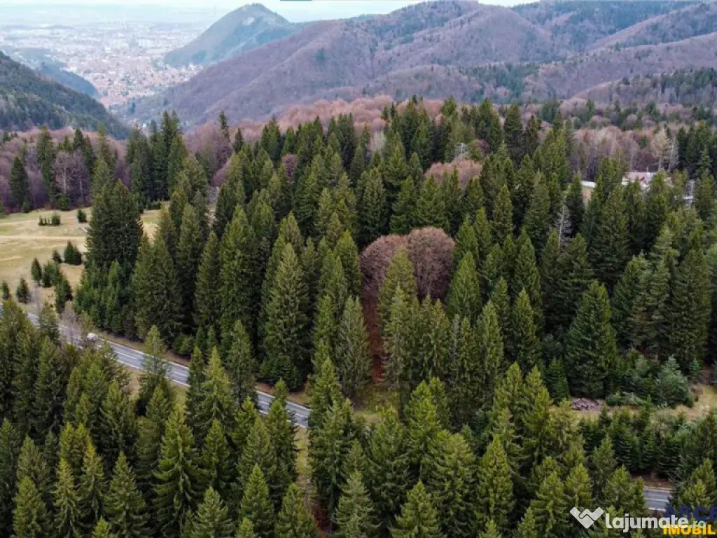 FILM! 1.000 mp,PUZ,regim P 2 M,destinatii turistice rezident 