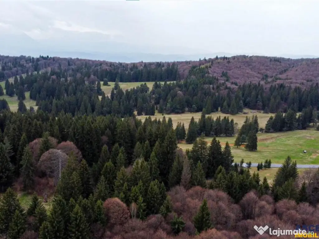 FILM! 1.000 mp,PUZ,regim P 2 M,destinatii turistice rezident 