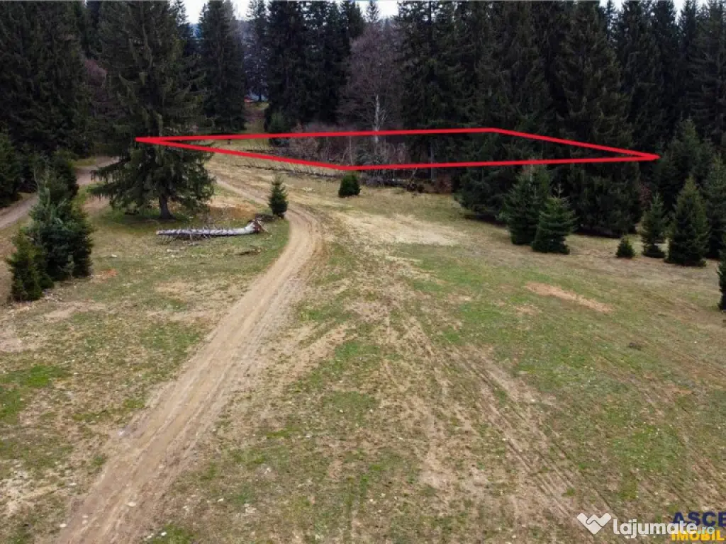 FILM! 1.000 mp,PUZ,regim P 2 M,destinatii turistice rezident 