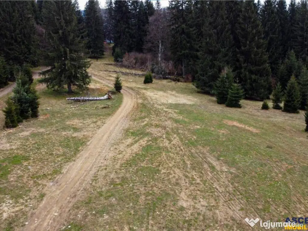 FILM! 1.000 mp,PUZ,regim P 2 M,destinatii turistice rezident 