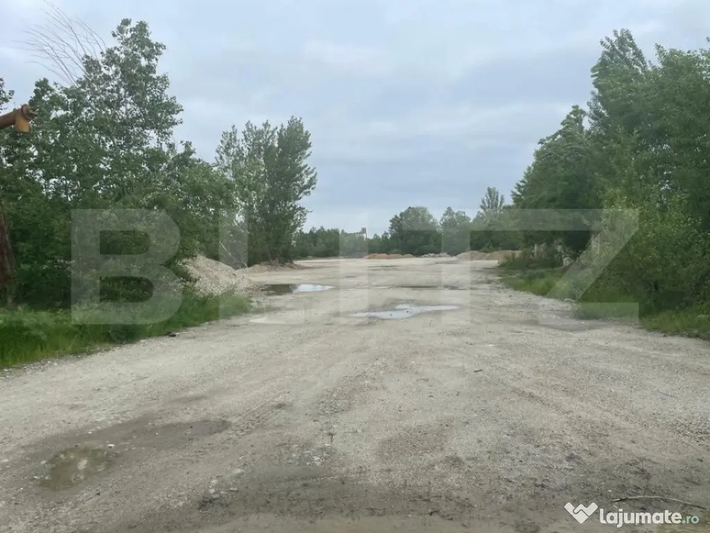 Oportunitate investiție! Teren 6 ha, Craiova, Bulevardu Dac 
