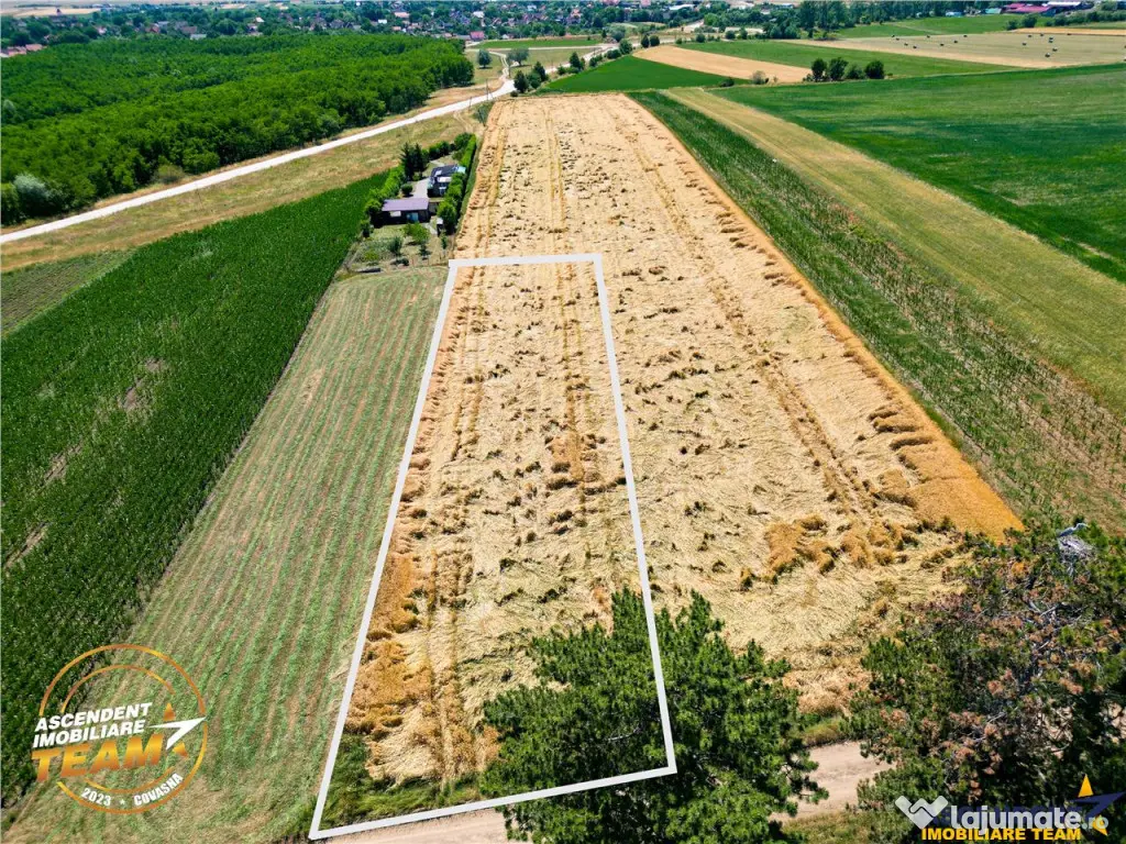 FILM! Teren extravilan, Valea Crisului, Covasna