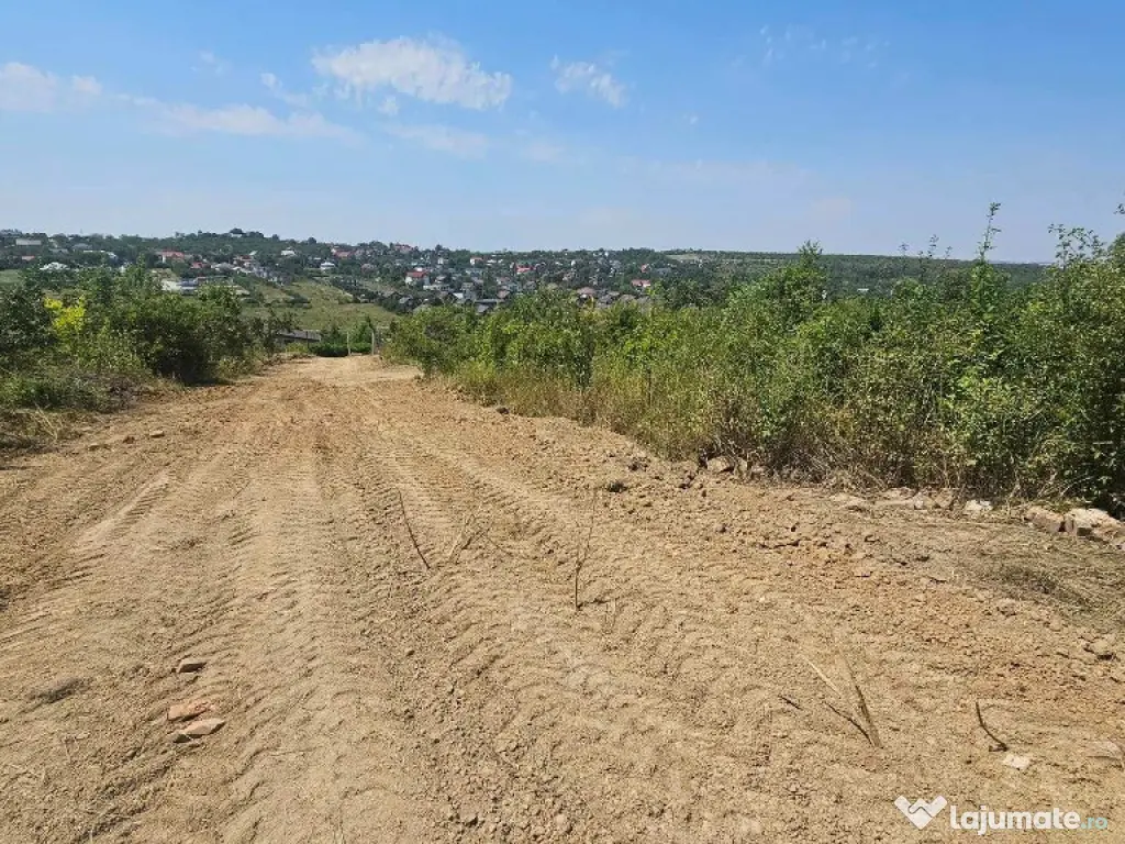 Teren intravilan , Bucium Barnova 