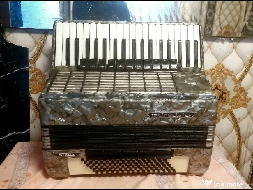 Acordeon Weltmaister și Parrot. 