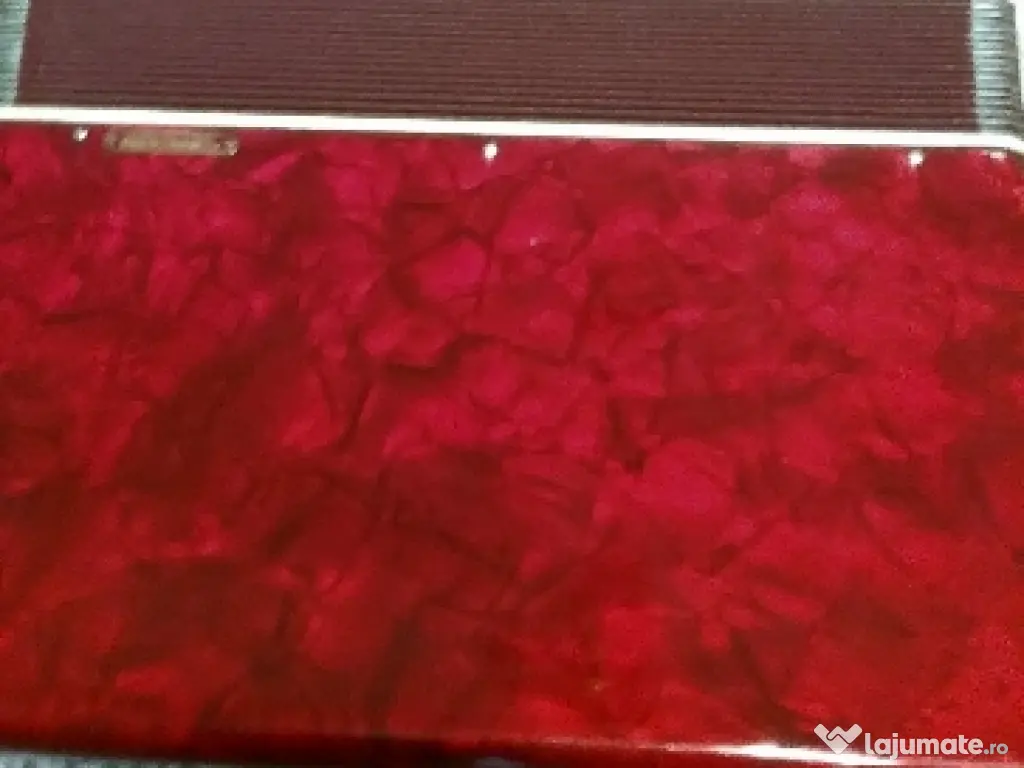 Acordeon Weltmaister și Parrot. 