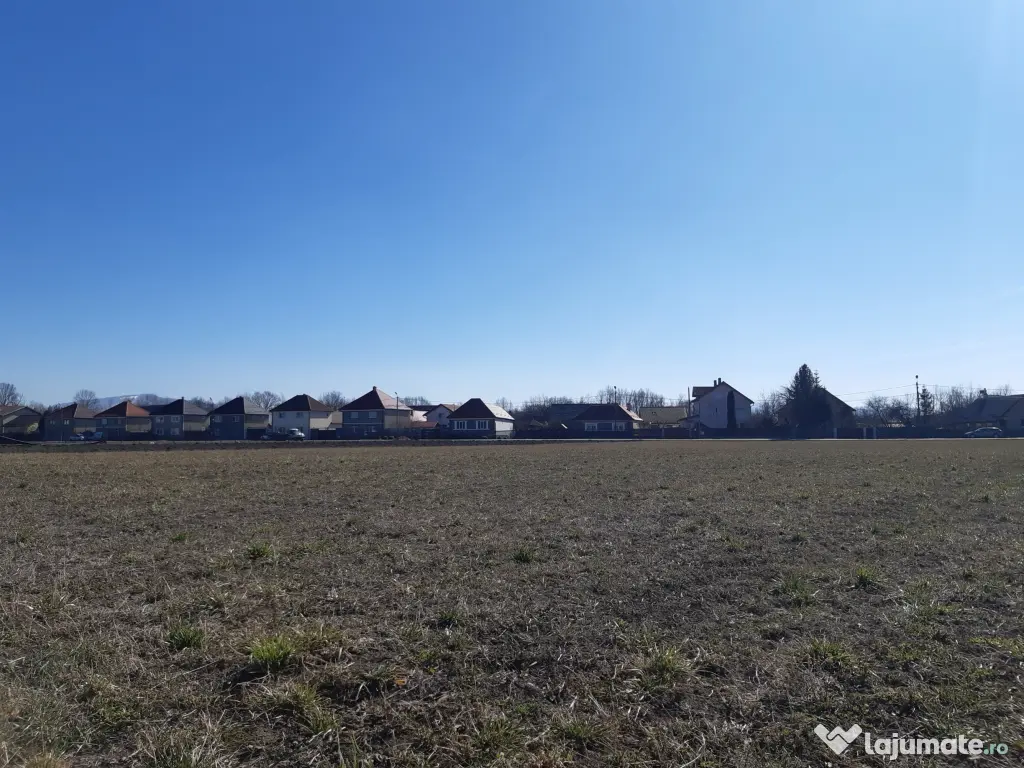 Vand teren intravilan, construibil utilitati drum asfaltat, Lunca Calnicului, 2325mp. 