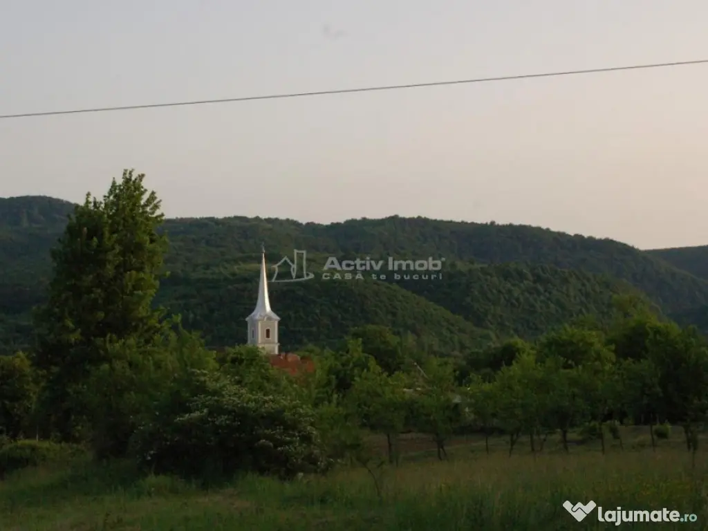 Casa de in Uileacul de Beius – gospodarie traditionala,... 