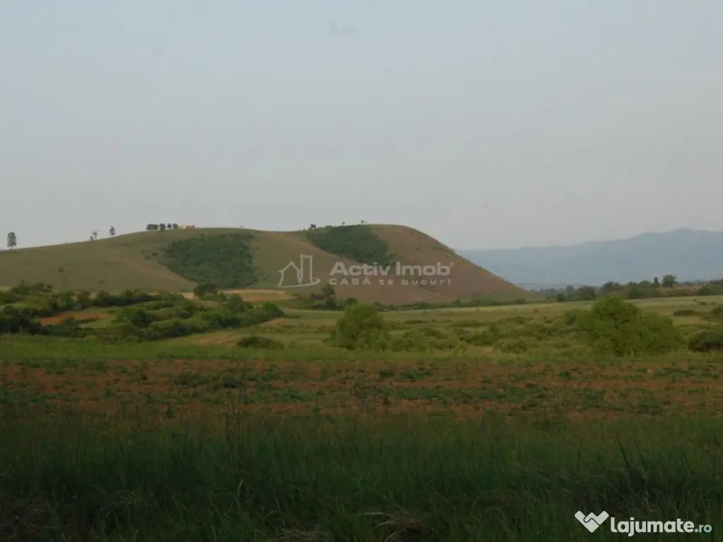 Casa de in Uileacul de Beius – gospodarie traditionala,... 