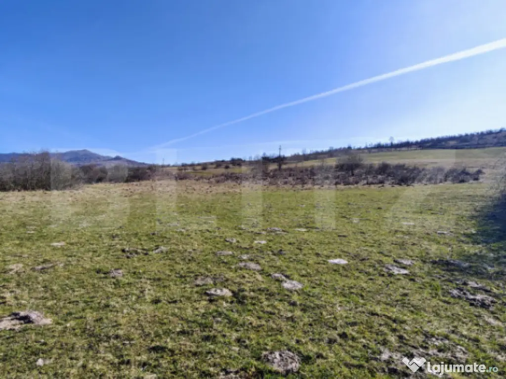 TEREN INTRAVILAN DE VÂNZARE – COMUNA LIVEZILE | 4.948 MP 