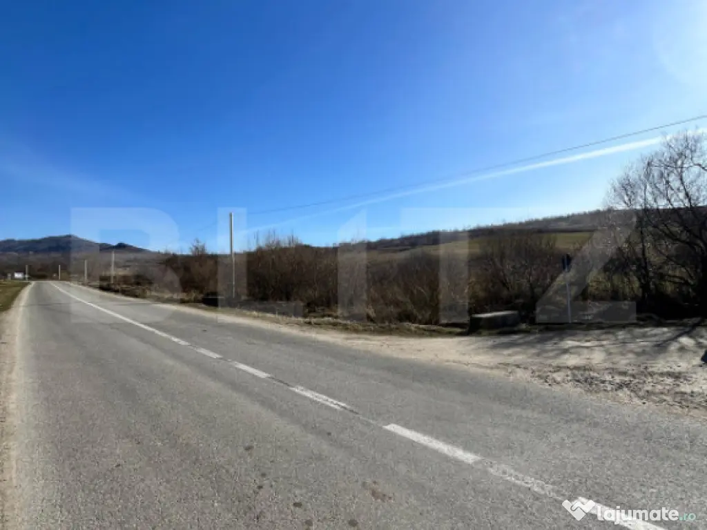 TEREN INTRAVILAN DE VÂNZARE – COMUNA LIVEZILE | 4.948 MP 