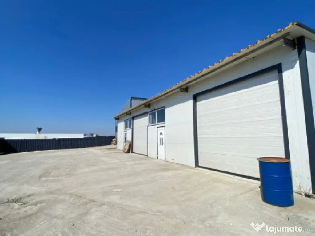 Spatiu comercial, 220mp, Malu Mare 