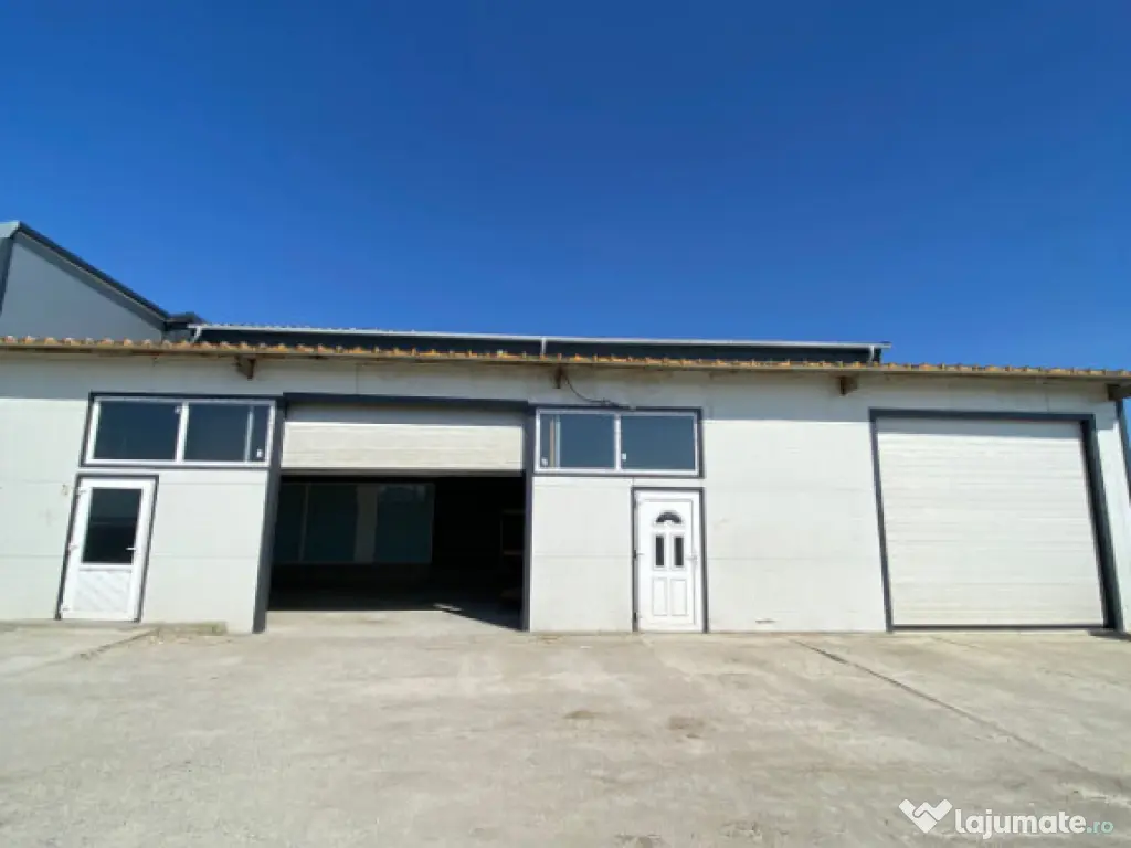 Spatiu comercial, 220mp, Malu Mare 