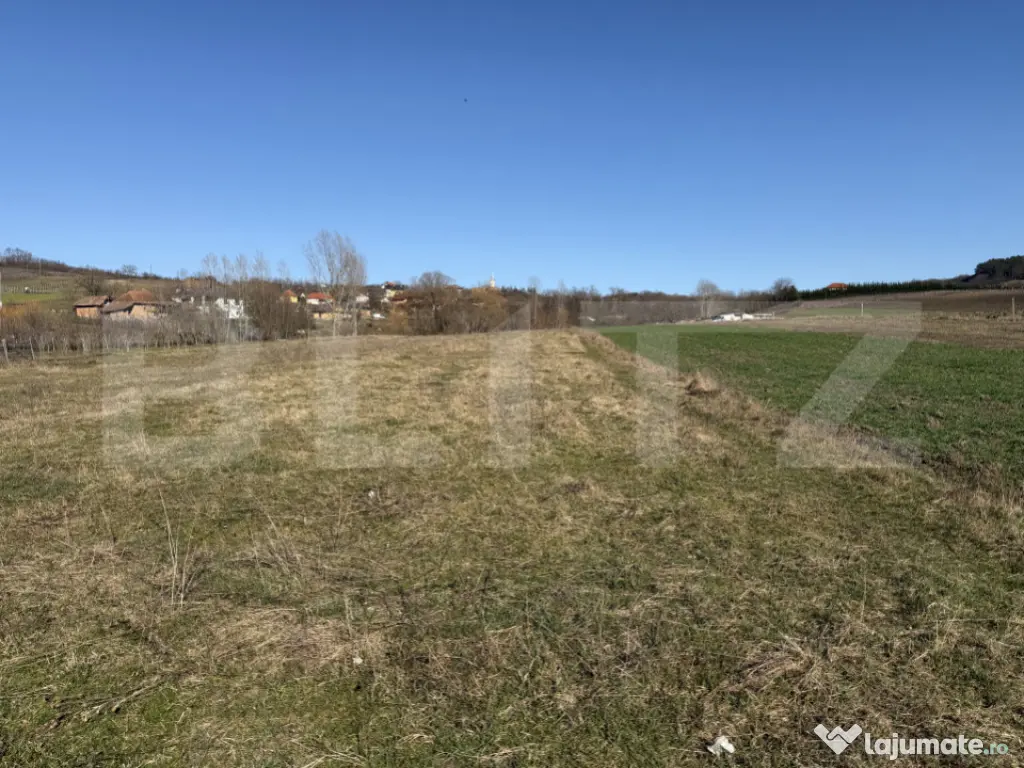 Teren intravilan in localitatea Hereclean in suprafata de 29 