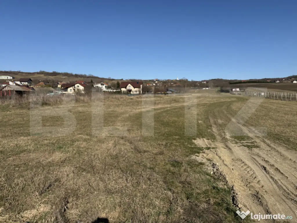 Teren intravilan in localitatea Hereclean in suprafata de 29 