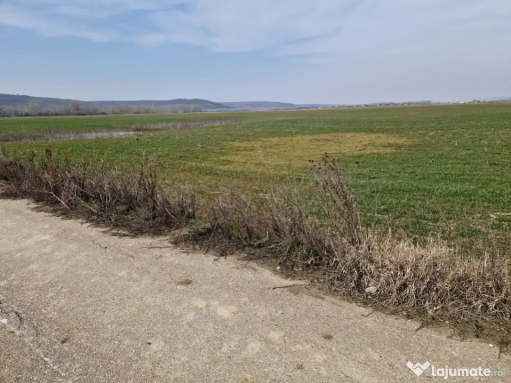 Teren intravilan de vânzare – 3300 mp, Leșile 
