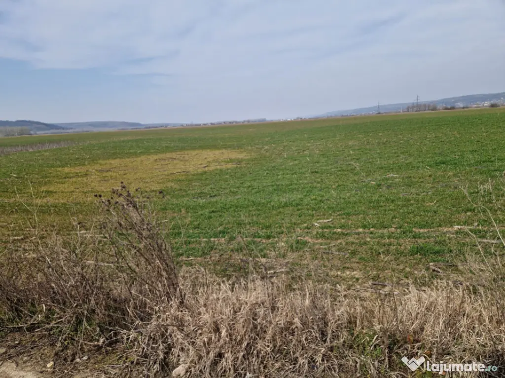 Teren intravilan de vânzare – 3300 mp, Leșile 