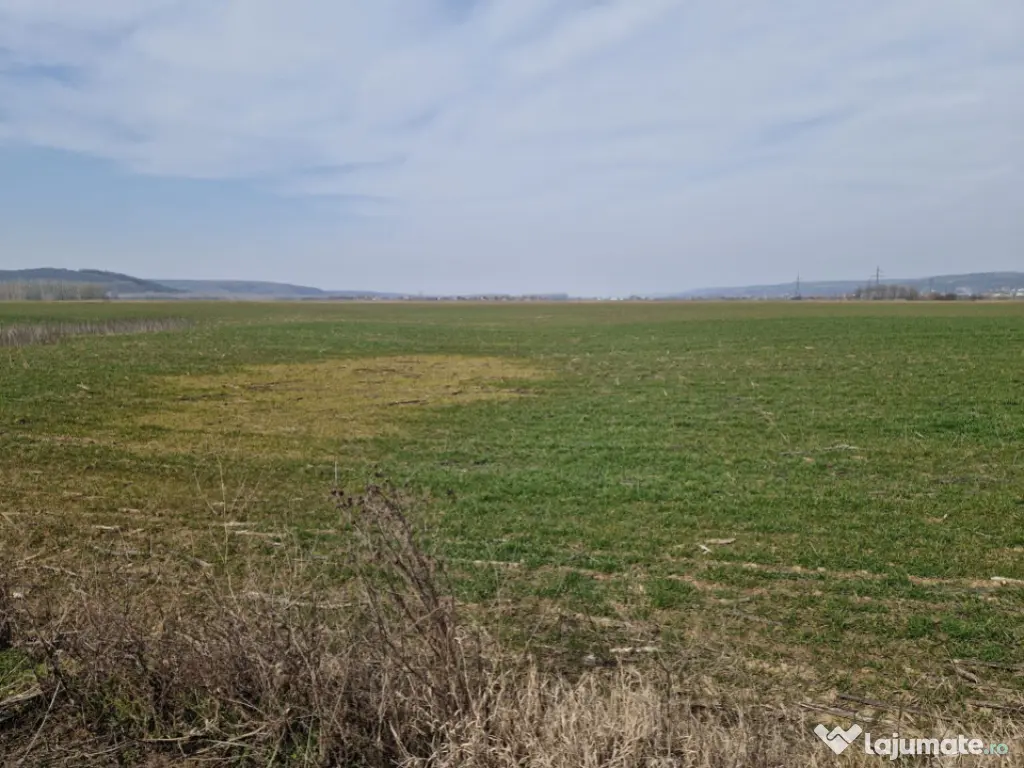 Teren intravilan de vânzare – 3300 mp, Leșile 