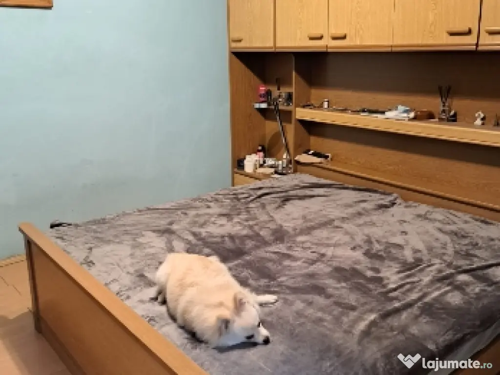 Vand casa din cărămidă central Arad singur în curte cu fundație f.a. de 15 m