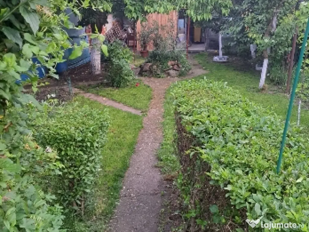 Vand casa din cărămidă central Arad singur în curte cu fundație f.a. de 15 m