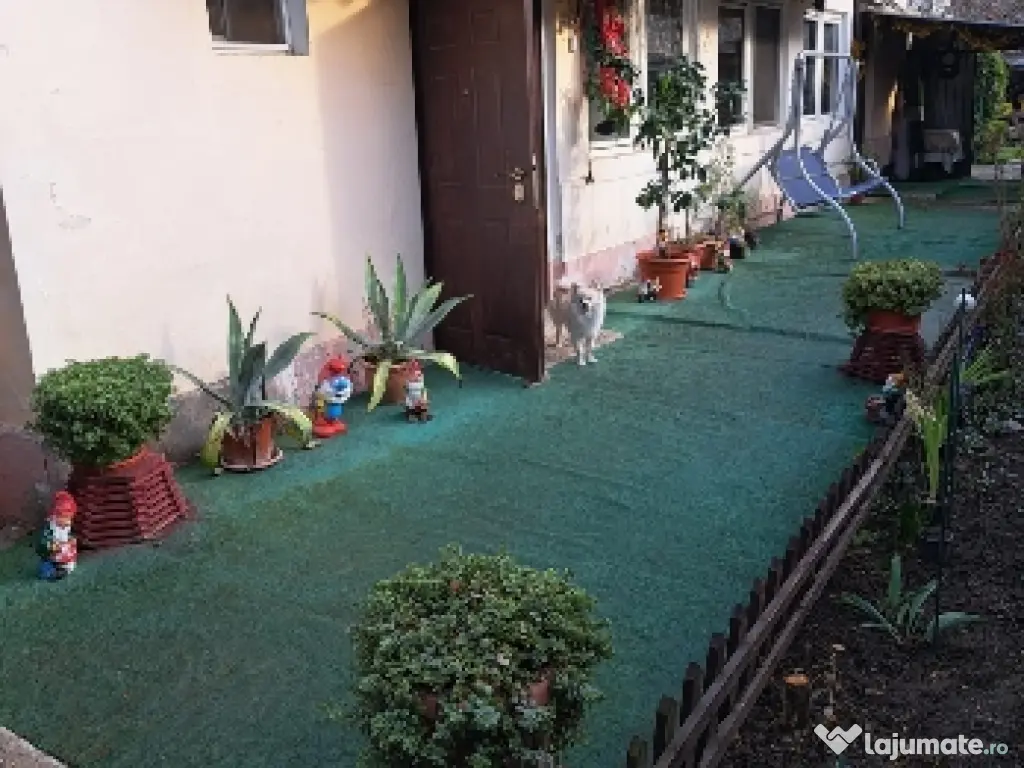 Vand casa din cărămidă central Arad singur în curte cu fundație f.a. de 15 m