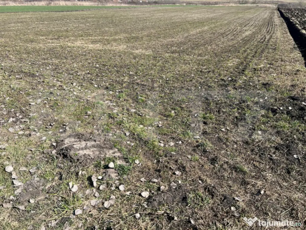 Teren de 11200mp cu potențial pentru investiții în Bonți