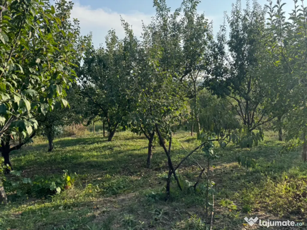 Casă Hurezu mare Satu Mare 