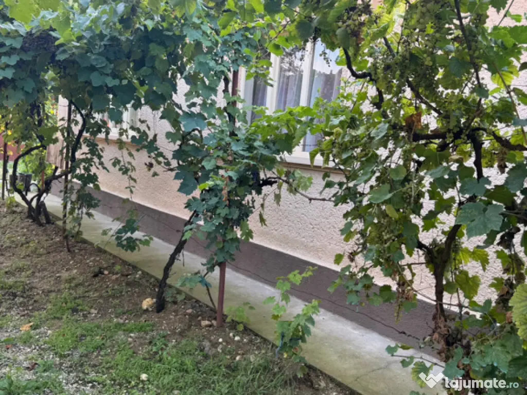 Casă Hurezu mare Satu Mare 