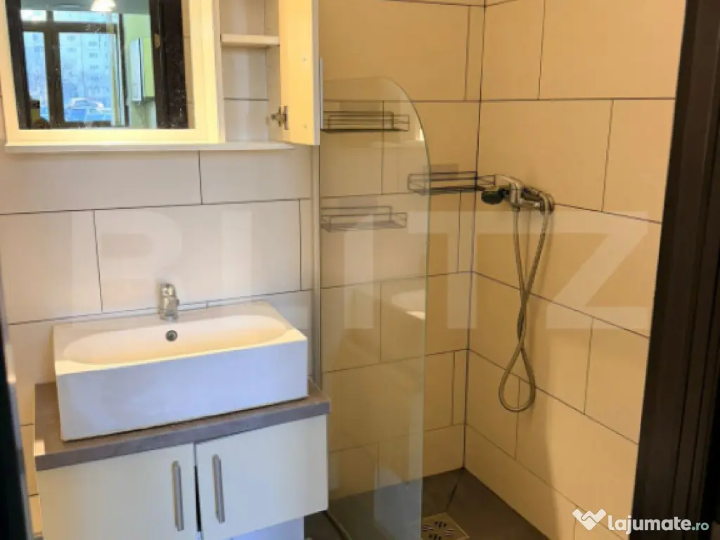 Apartament cu o camera, semidecomandat, pet friendly, loc de 